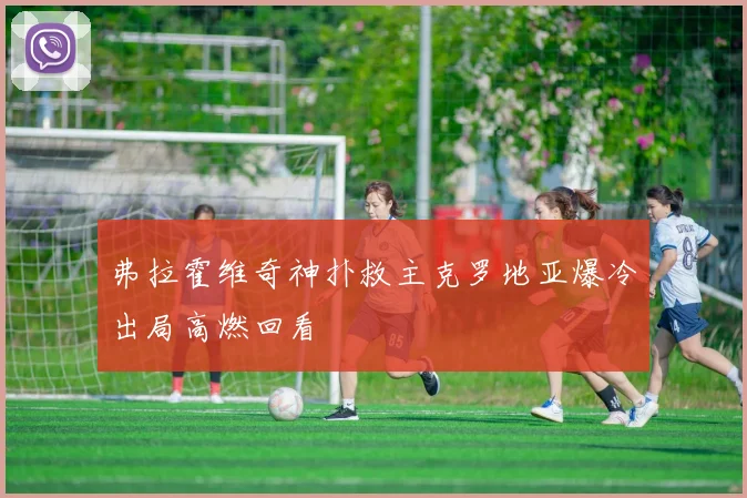 弗拉霍维奇神扑救主克罗地亚爆冷出局高燃回看