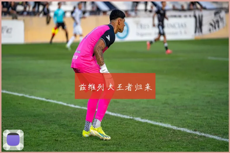 兹维列夫王者归来