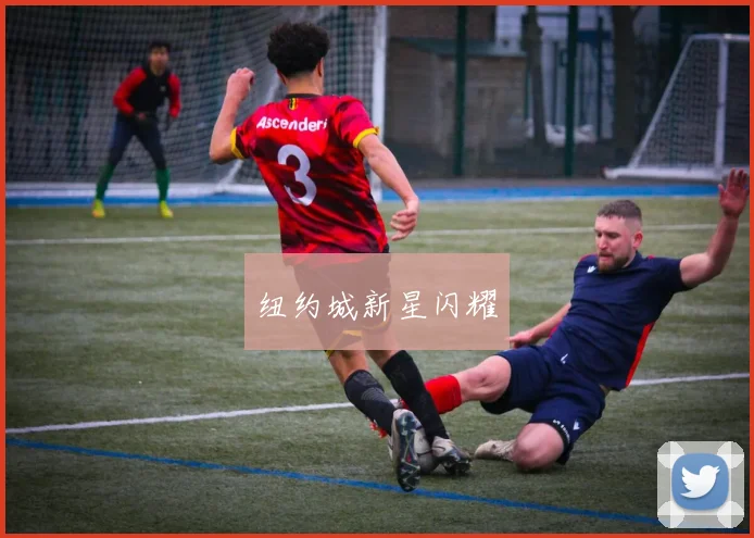纽约城新星闪耀