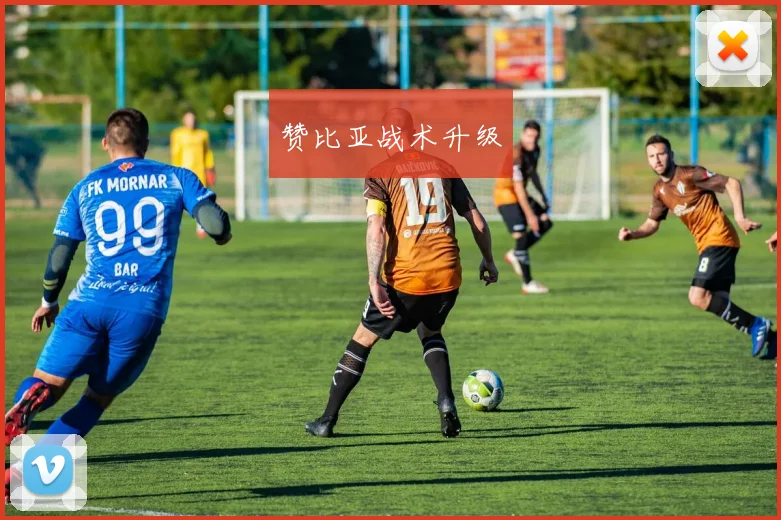 赞比亚战术升级
