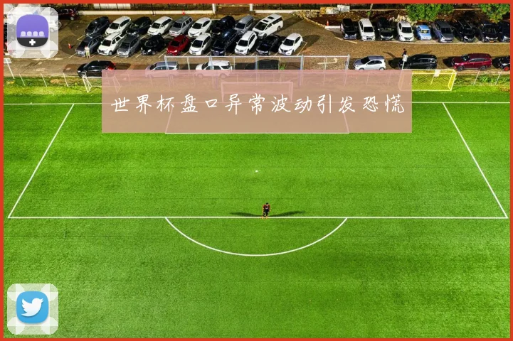 世界杯盘口异常波动引发恐慌