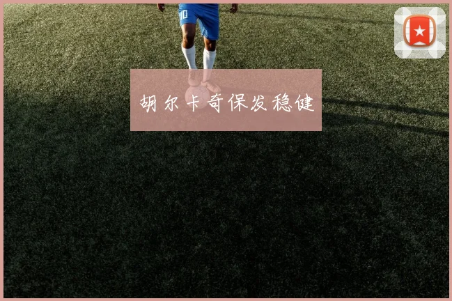 胡尔卡奇保发稳健