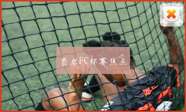 首尔FC杯赛焦点