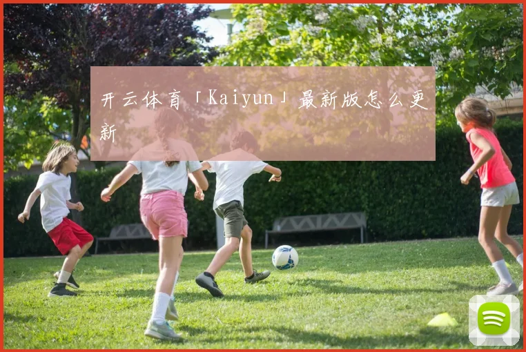 开云体育「Kaiyun」最新版怎么更新