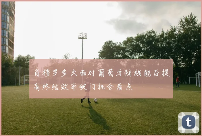 肖穆罗多夫面对葡萄牙防线能否提高终结效率破门机会看点