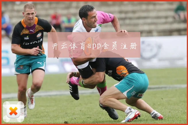 开云体育app会员注册