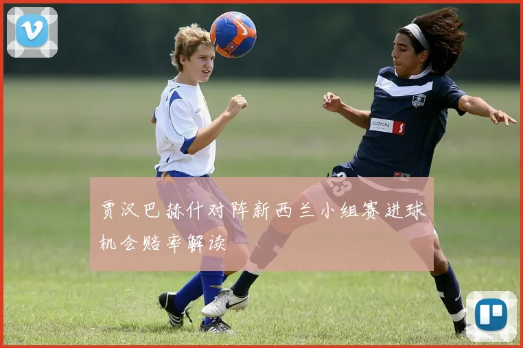 贾汉巴赫什对阵新西兰小组赛进球机会赔率解读