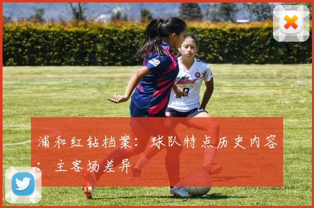 浦和红钻档案：球队特点历史内容：主客场差异